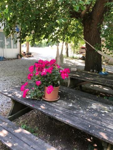 Agriresidence San Pietro Бибионе Екстериор снимка