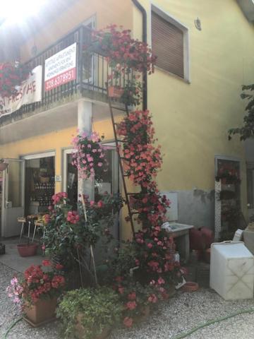 Agriresidence San Pietro Бибионе Екстериор снимка
